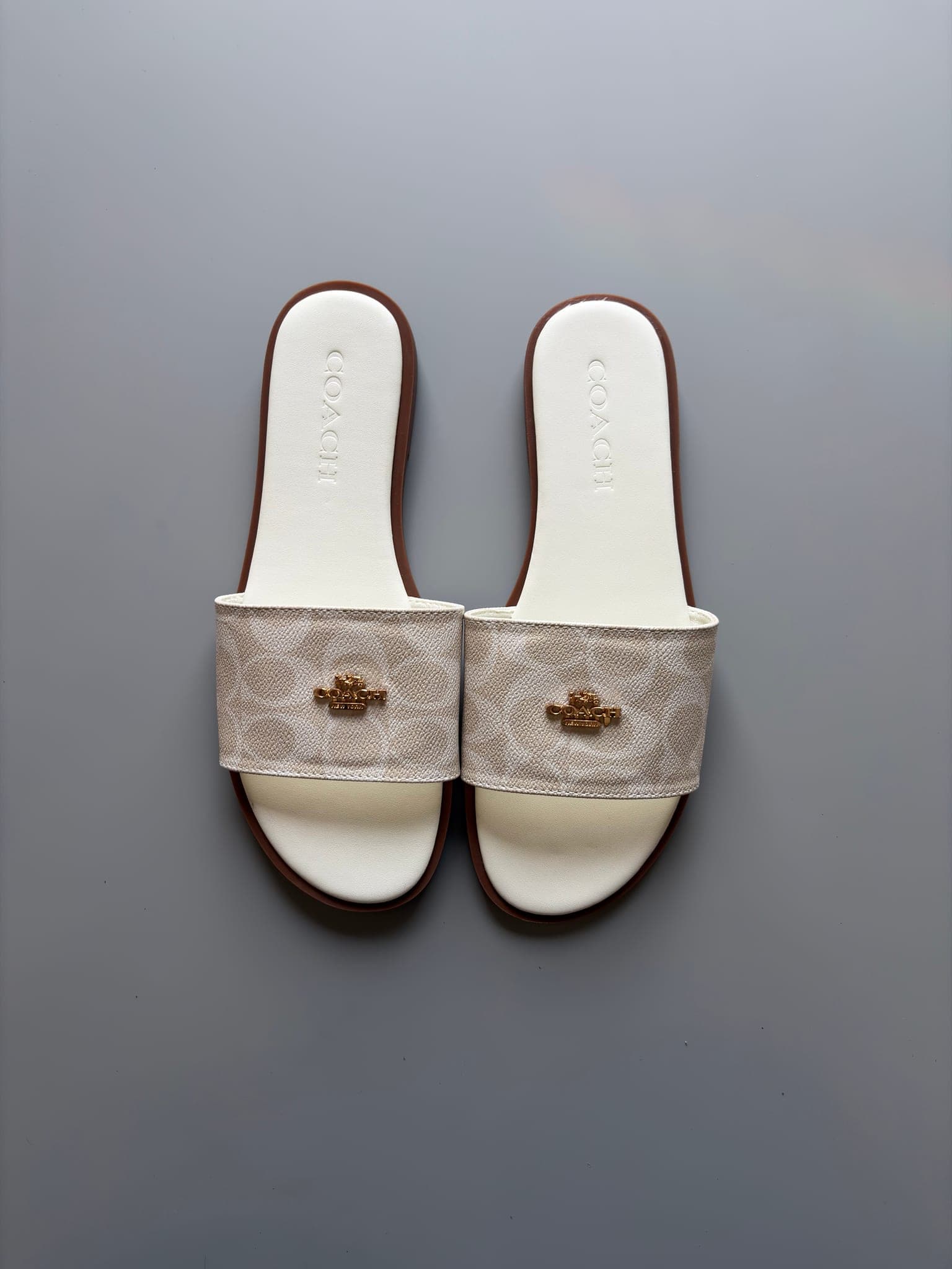 شەببەی سڵایدی Coach Signature – وێنەی 2